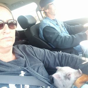 Meet your Posher, Tracy